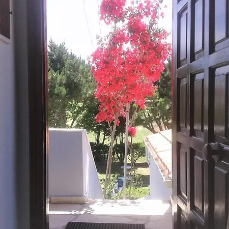 Angela, Seafront Apartments, Almiros *